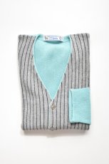 画像1: FANNI LEMMERMAYER (ファニレマメイヤー) Front Stripe V-neck Cardigan [MINT/GREY] (1)