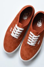 画像3: VANS (ヴァンズ) Authentic Pig Suede [BURNT ORANGE] (3)