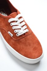 画像6: VANS (ヴァンズ) Authentic Pig Suede [BURNT ORANGE] (6)