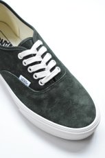 画像6: VANS (ヴァンズ) Authentic Pig Suede [DRIED KELP] (6)