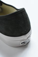 画像8: VANS (ヴァンズ) Authentic Pig Suede [DRIED KELP] (8)