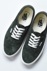 画像3: VANS (ヴァンズ) Authentic Pig Suede [DRIED KELP] (3)