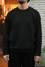 画像4: patagonia (パタゴニア) メンズ・マイクロ D・クルーネック [BLACK] (4)