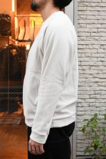 画像5: patagonia (パタゴニア) メンズ・マイクロ D・クルーネック [PELICAN] (5)