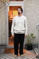 画像7: patagonia (パタゴニア) メンズ・マイクロ D・クルーネック [PELICAN] (7)