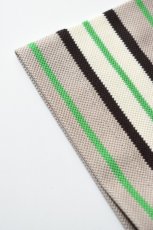 画像11: SCYE BASICS (サイベーシックス) Striped Cotton Pique T-Shirt [GREEN] (11)