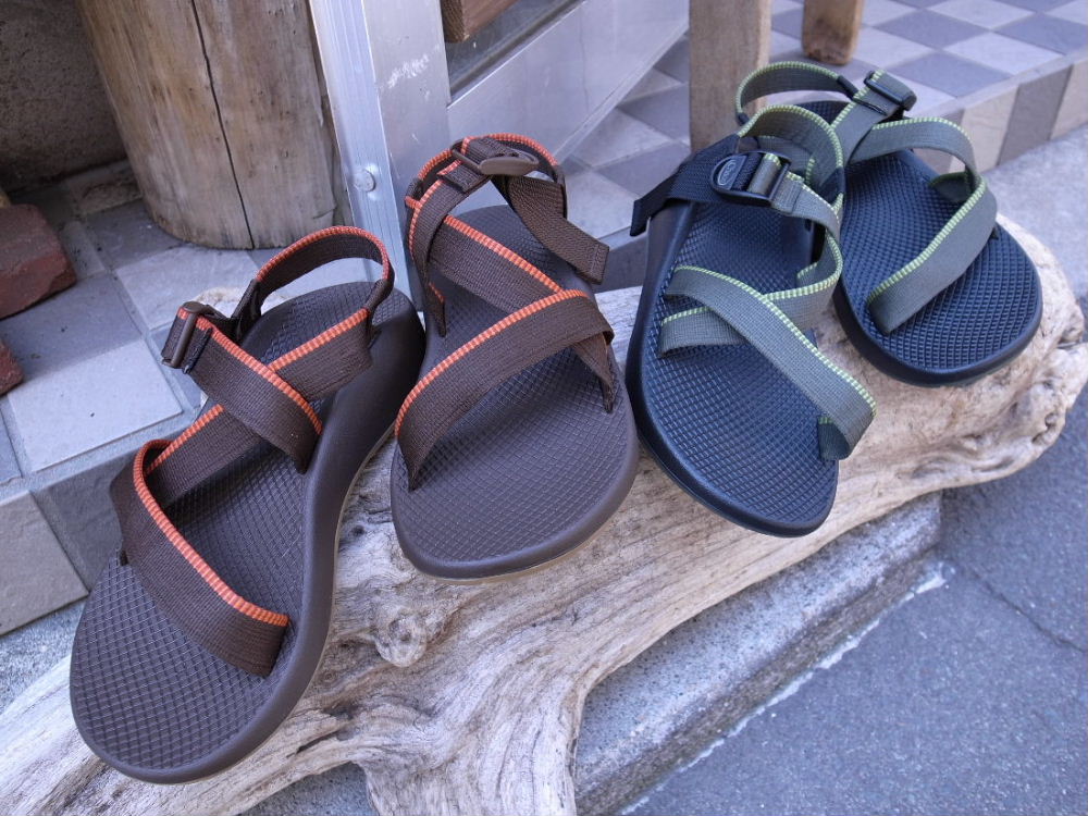 Chaco Z-1が入荷しました