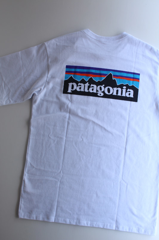 patagonia (パタゴニア) P-6ロゴ・ポケット・レスポンシビリティー [WHI]